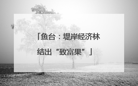 鱼台：堤岸经济林结出“致富果”