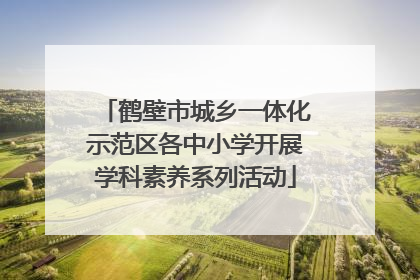 鹤壁市城乡一体化示范区各中小学开展学科素养系列活动