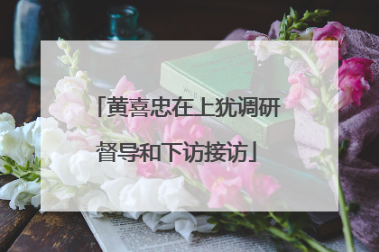 黄喜忠在上犹调研督导和下访接访