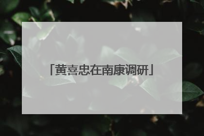 黄喜忠在南康调研