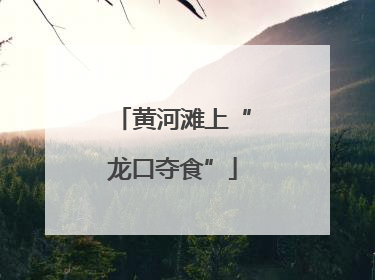 黄河滩上“龙口夺食”