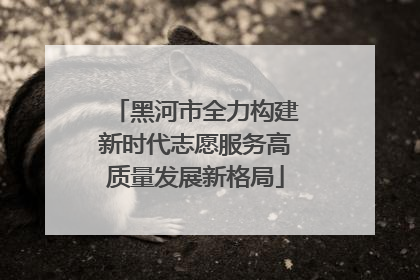 黑河市全力构建新时代志愿服务高质量发展新格局