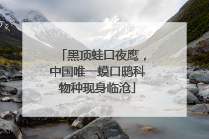 黑顶蛙口夜鹰，中国唯一蟆口鸱科物种现身临沧