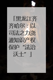 黑龙江齐齐哈尔：以司法之力浇灌知识产权保护“法治沃土”