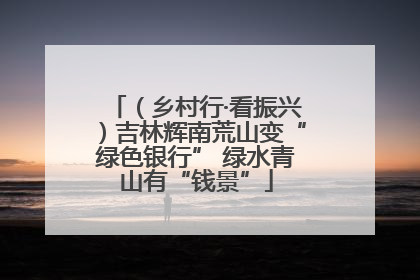 （乡村行·看振兴）吉林辉南荒山变“绿色银行” 绿水青山有“钱景”