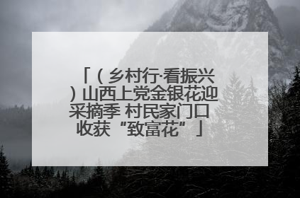 （乡村行·看振兴）山西上党金银花迎采摘季 村民家门口收获“致富花”