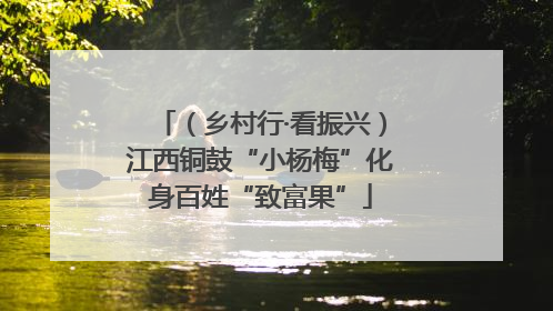 （乡村行·看振兴）江西铜鼓“小杨梅”化身百姓“致富果”