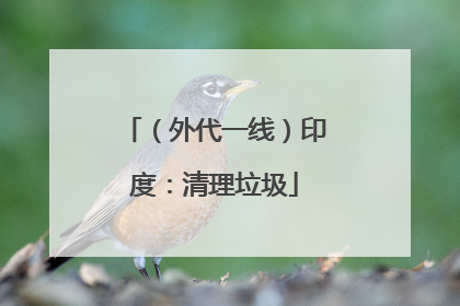 （外代一线）印度：清理垃圾