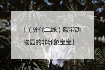 （外代二线）欧宝动物园的非洲象宝宝