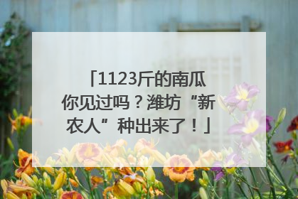 1123斤的南瓜你见过吗？潍坊“新农人”种出来了！