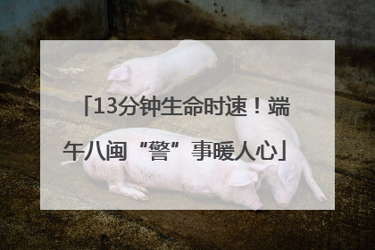 13分钟生命时速！端午八闽“警”事暖人心