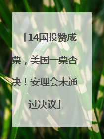 14国投赞成票，美国一票否决！安理会未通过决议