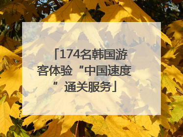 174名韩国游客体验“中国速度”通关服务