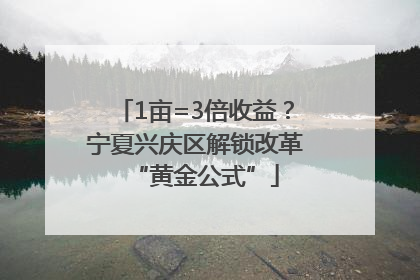 1亩=3倍收益？宁夏兴庆区解锁改革“黄金公式”