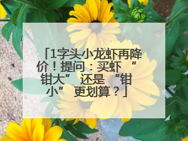 1字头小龙虾再降价！提问：买虾 “钳大” 还是 “钳小” 更划算？