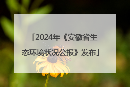 2024年《安徽省生态环境状况公报》发布