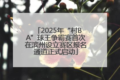 2025年“村BA”球王争霸赛首次在滨州设立赛区报名通道正式启动