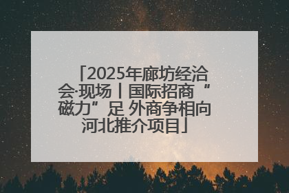 2025年廊坊经洽会·现场丨国际招商“磁力”足 外商争相向河北推介项目