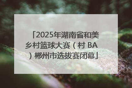 2025年湖南省和美乡村篮球大赛（村 BA）郴州市选拔赛闭幕