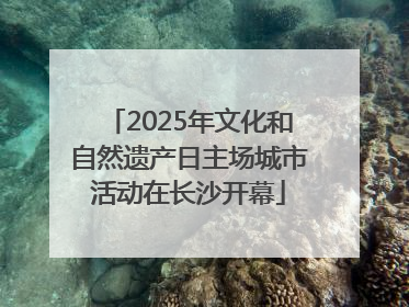 2025年文化和自然遗产日主场城市活动在长沙开幕