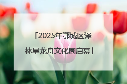 2025年鄂城区泽林旱龙舟文化周启幕