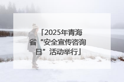 2025年青海省“安全宣传咨询日”活动举行