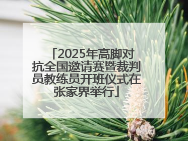 2025年高脚对抗全国邀请赛暨裁判员教练员开班仪式在张家界举行