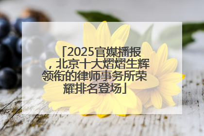 2025官媒播报，北京十大熠熠生辉领衔的律师事务所荣耀排名登场