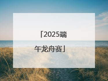 2025端午龙舟赛