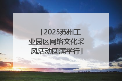 2025苏州工业园区网络文化采风活动圆满举行