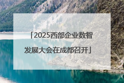 2025西部企业数智发展大会在成都召开