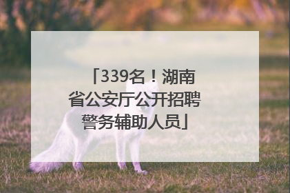 339名！湖南省公安厅公开招聘警务辅助人员