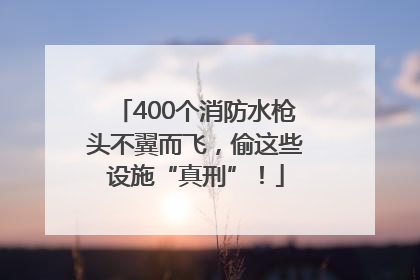 400个消防水枪头不翼而飞，偷这些设施“真刑”！