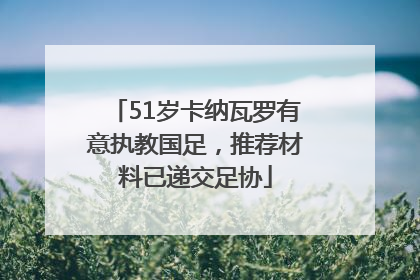 51岁卡纳瓦罗有意执教国足，推荐材料已递交足协