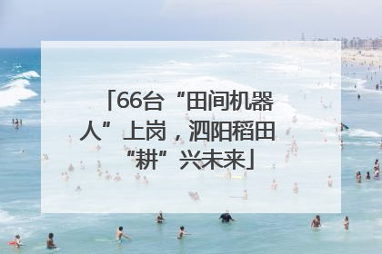 66台“田间机器人”上岗，泗阳稻田“耕”兴未来