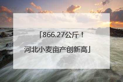 866.27公斤！河北小麦亩产创新高