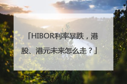 HIBOR利率暴跌，港股、港元未来怎么走？