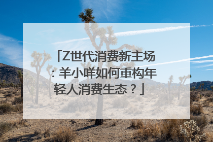 Z世代消费新主场：羊小咩如何重构年轻人消费生态？